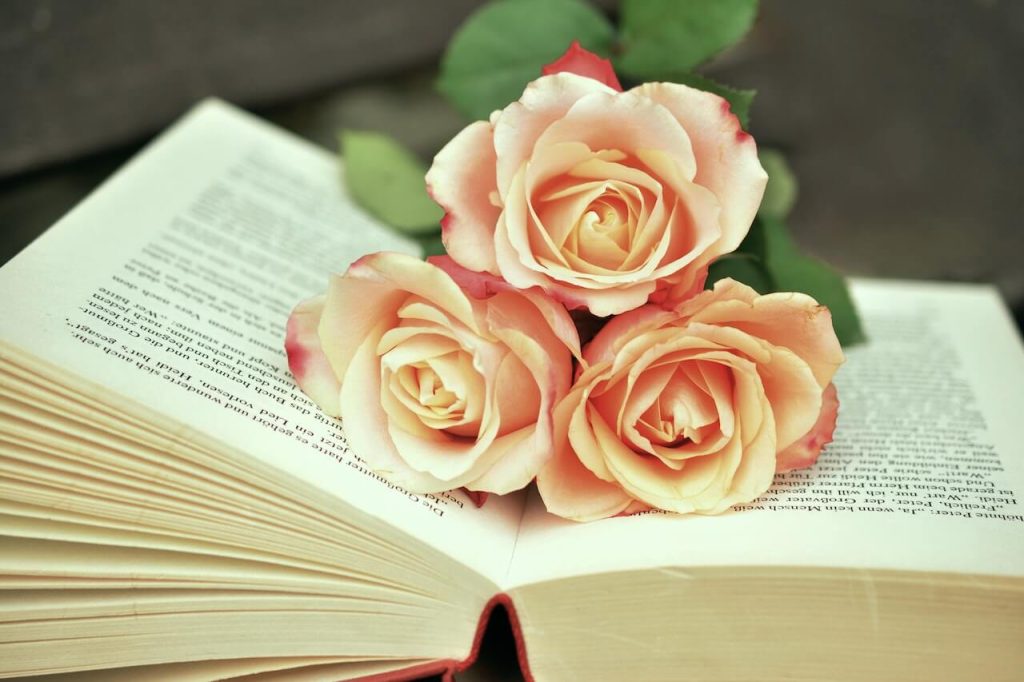 libro e rose